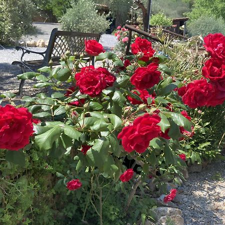 Ai Cinque Campanili Otel Finale Ligure Dış mekan fotoğraf